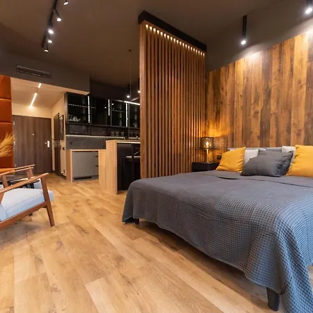 شقة Hanza Apartament 403 شتشيتسين