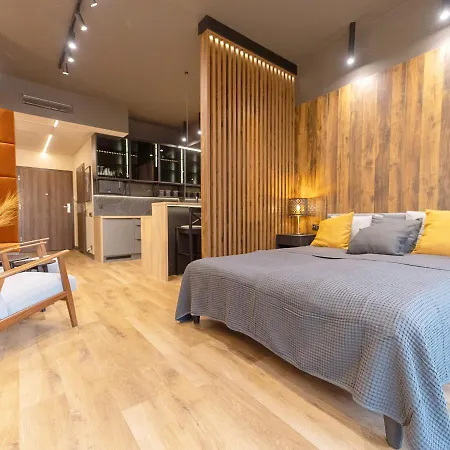 Hanza Apartament 403 شتشيتسين