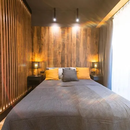 Hanza Apartament 403 شقة شتشيتسين